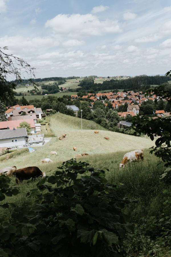 Ferienwohnung Alpenblick I Kamin I Private Sauna Wangen im Allgaeu ภายนอก รูปภาพ