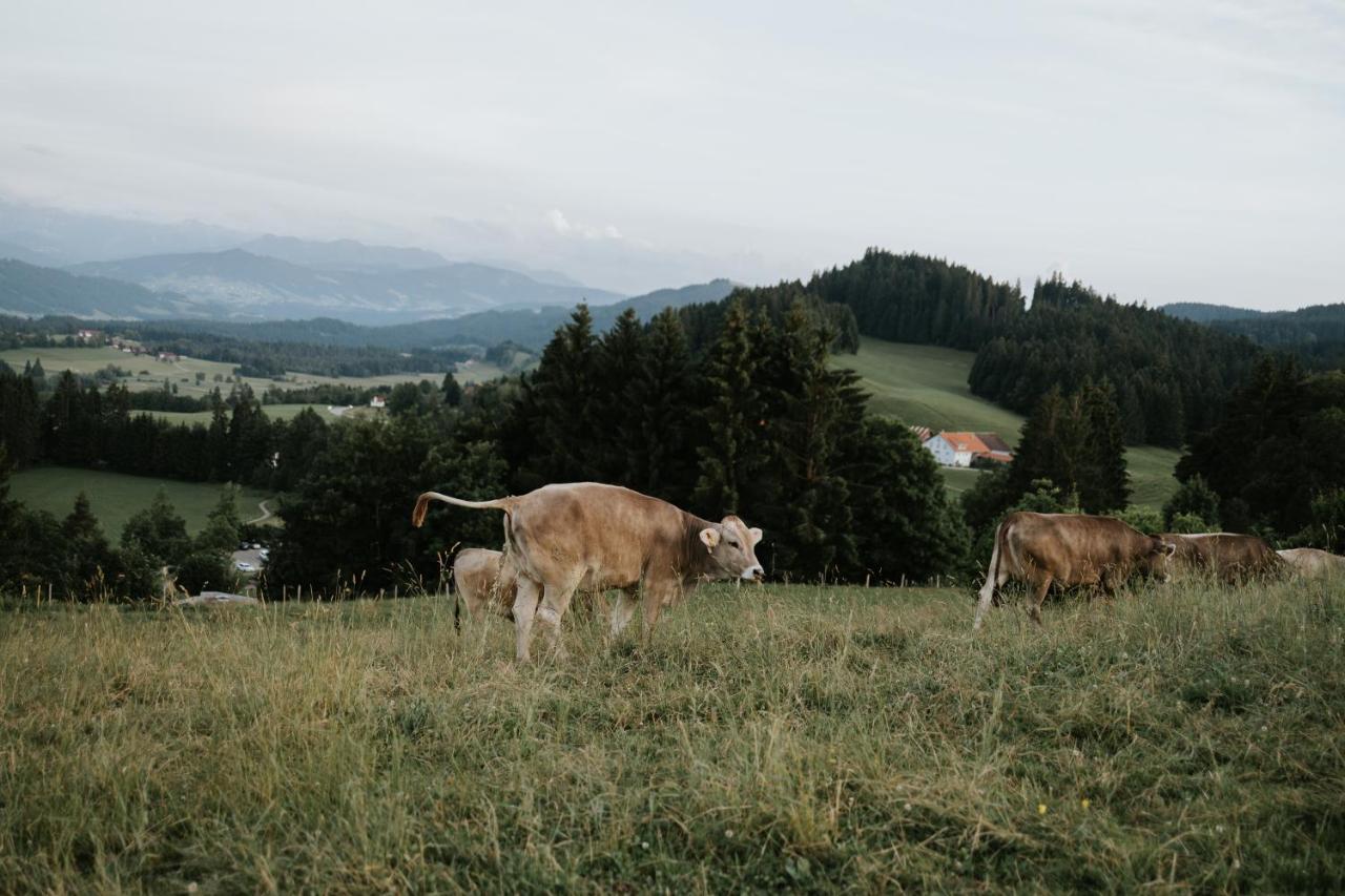 Ferienwohnung Alpenblick I Kamin I Private Sauna Wangen im Allgaeu ภายนอก รูปภาพ